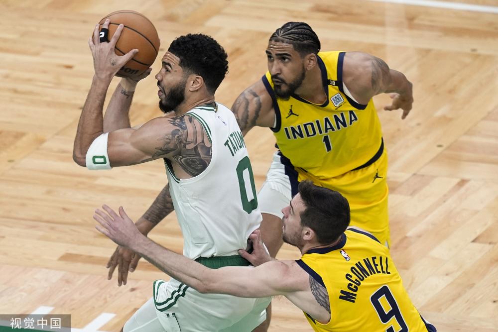 不可或缺的 不可或缺的